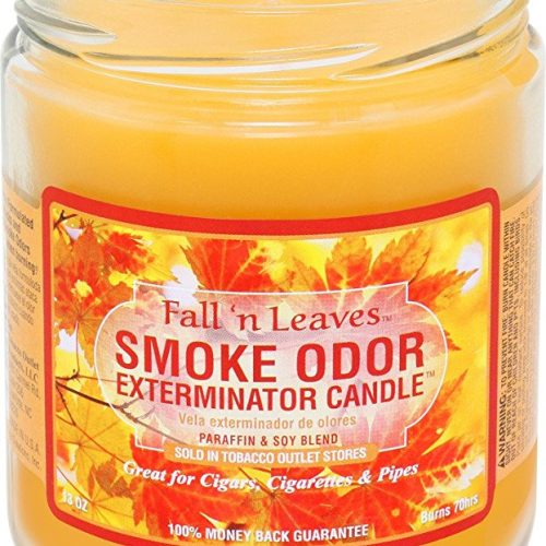 SMOKE ODOR CANDLE FALL & LEAVES 13OZ.JAR. -SEASONAL ITEM-