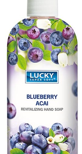 LUCKY HAND SOAP BLUEBERRY ACAI 1CT.