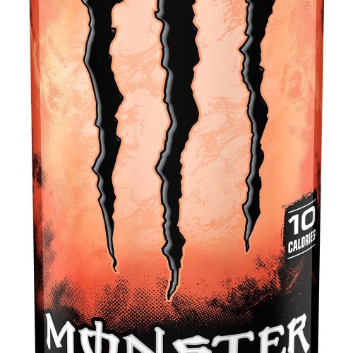 MONSTER REHAB PEACH TEA 24/16OZ