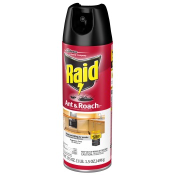 RAID ANT & ROACH SPRAY FRAGRANCE FREE 17.5OZ.
