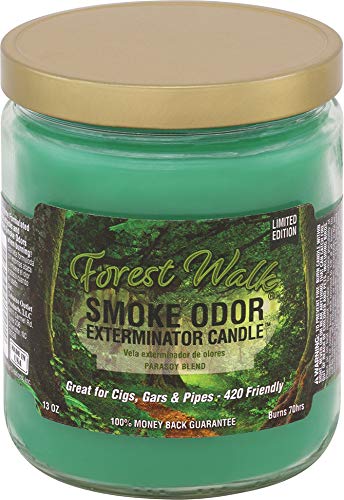 SMOKE ODOR CANDLE FOREST WALK 13OZ.JAR.  -SEASONAL ITEM-