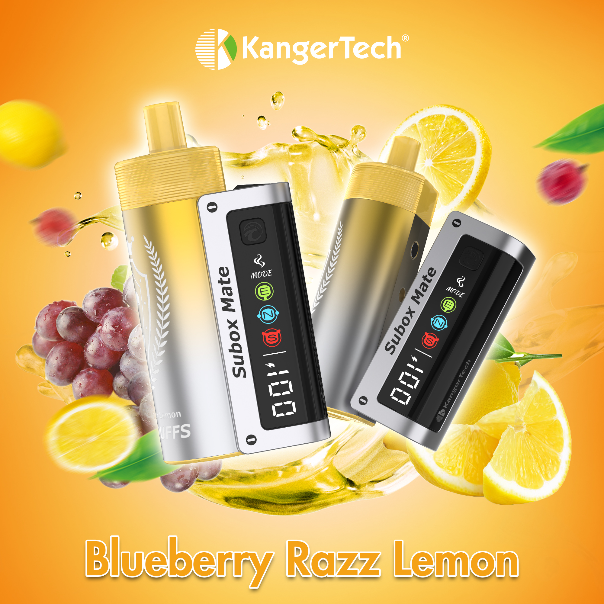 KSBRL (2)
